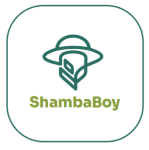 Home Www.shambaboy.com